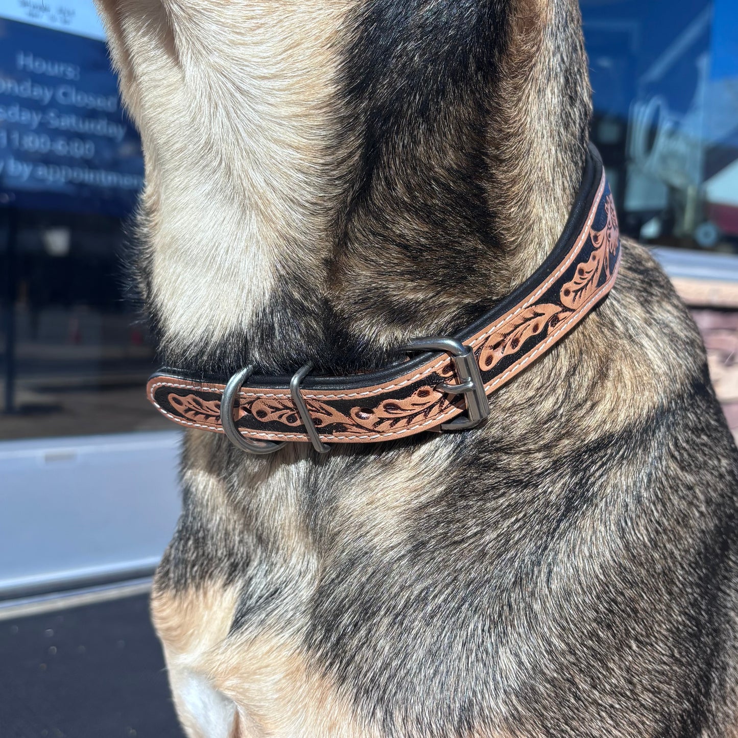 Native Dog Collar - Warm Colors