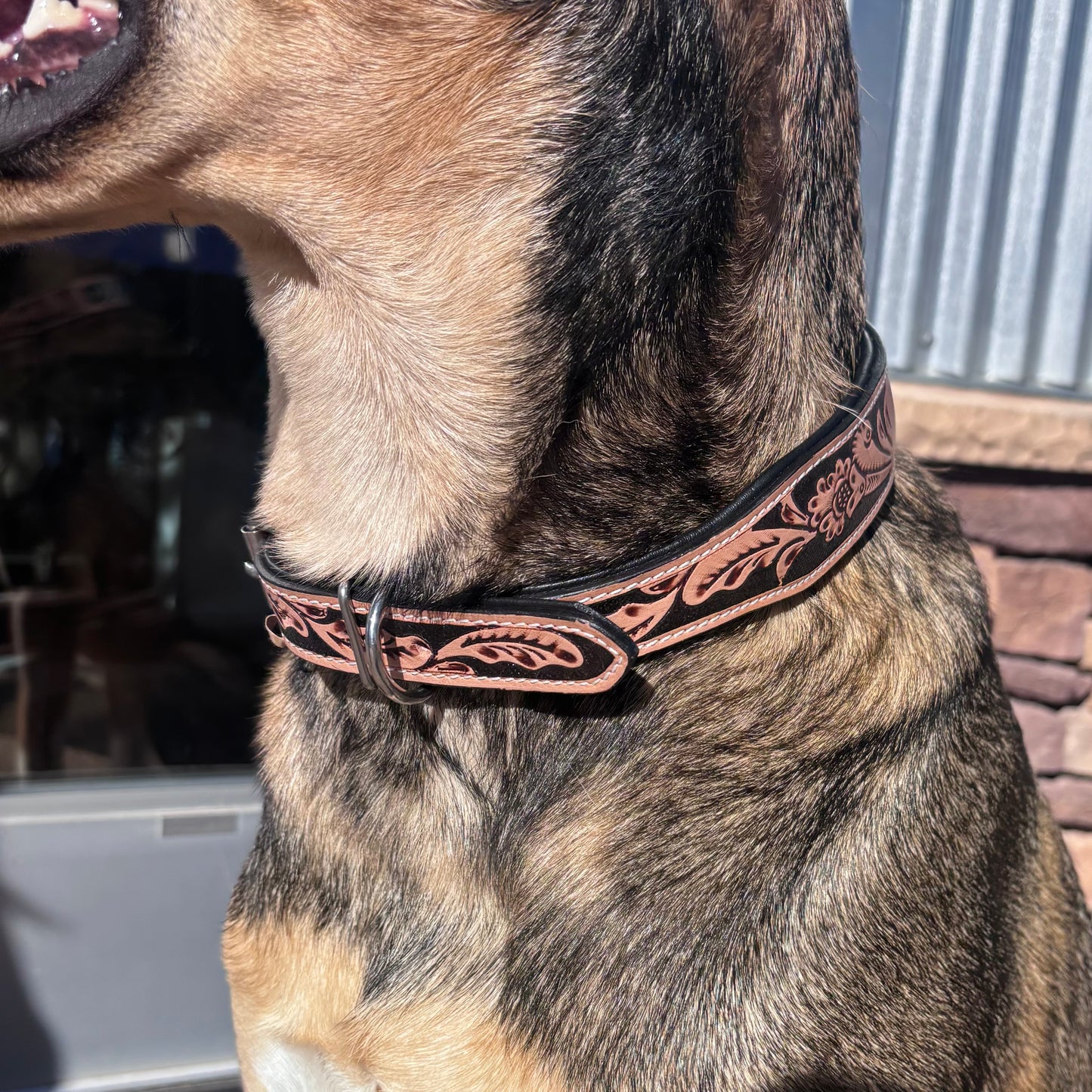 Native Dog Collar - Cool Colors