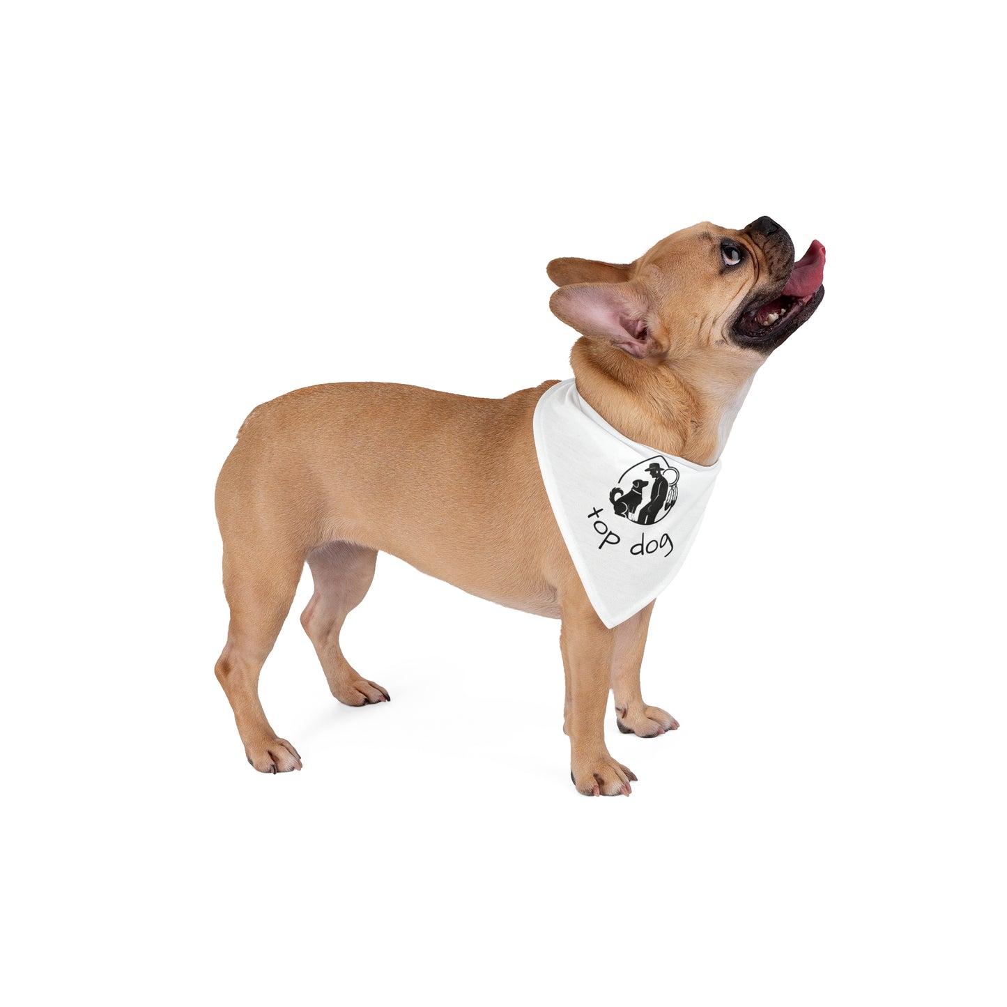 Slick Pup Bandana
