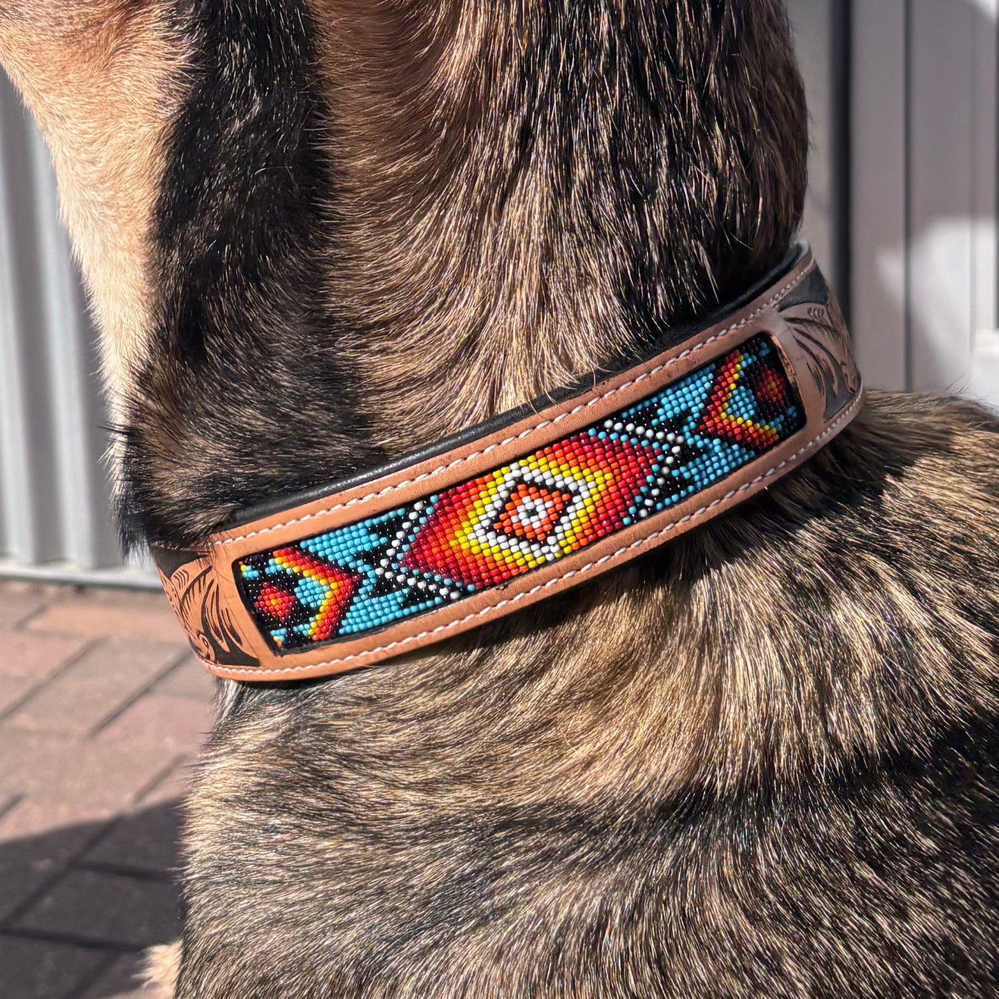 Native Dog Collar - Warm Colors