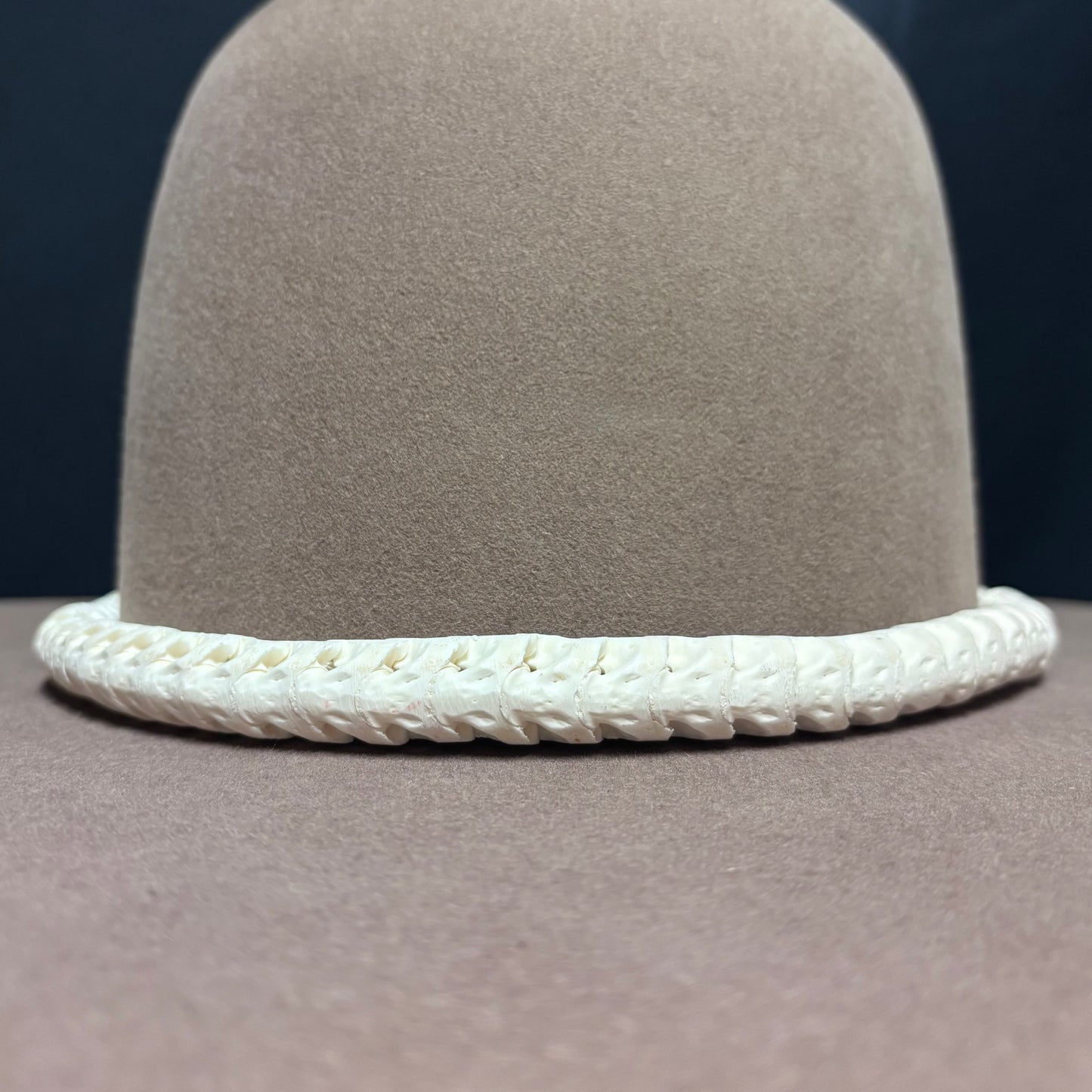 Snake Vertebrae