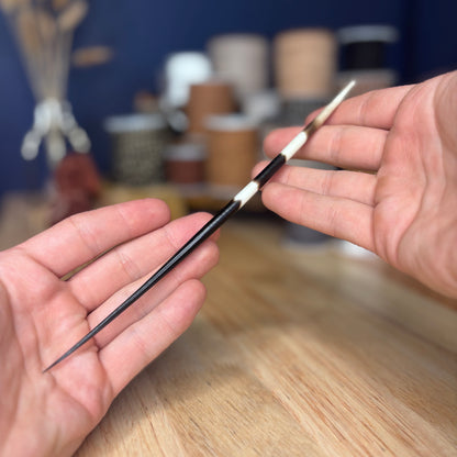 Porcupine quill