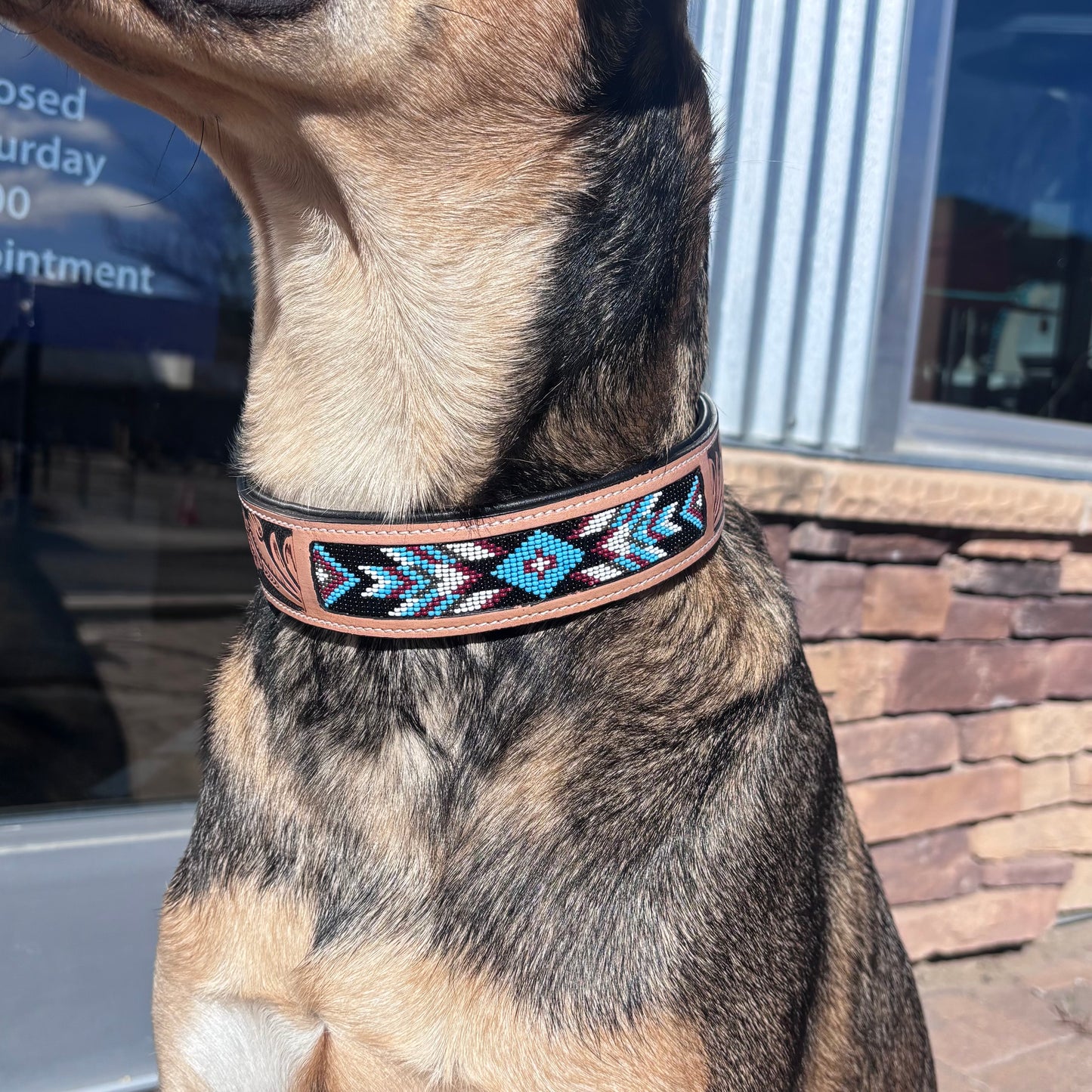 Native Dog Collar - Cool Colors