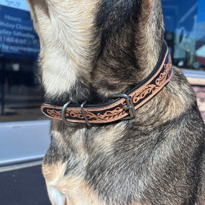 Native Dog Collar - Warm Colors