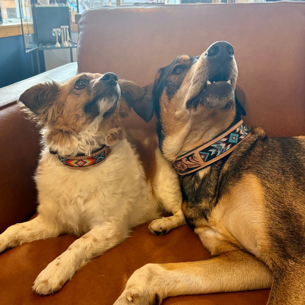 Native Dog Collar - Warm Colors