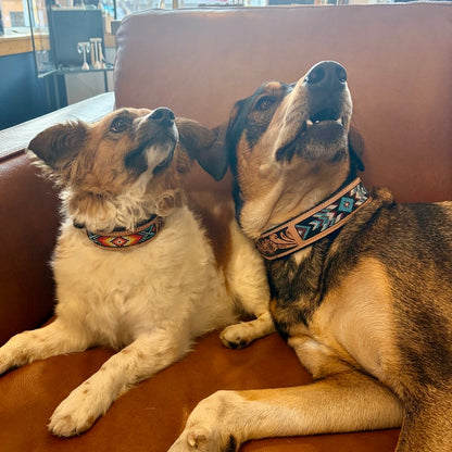 Native Dog Collar - Warm Colors