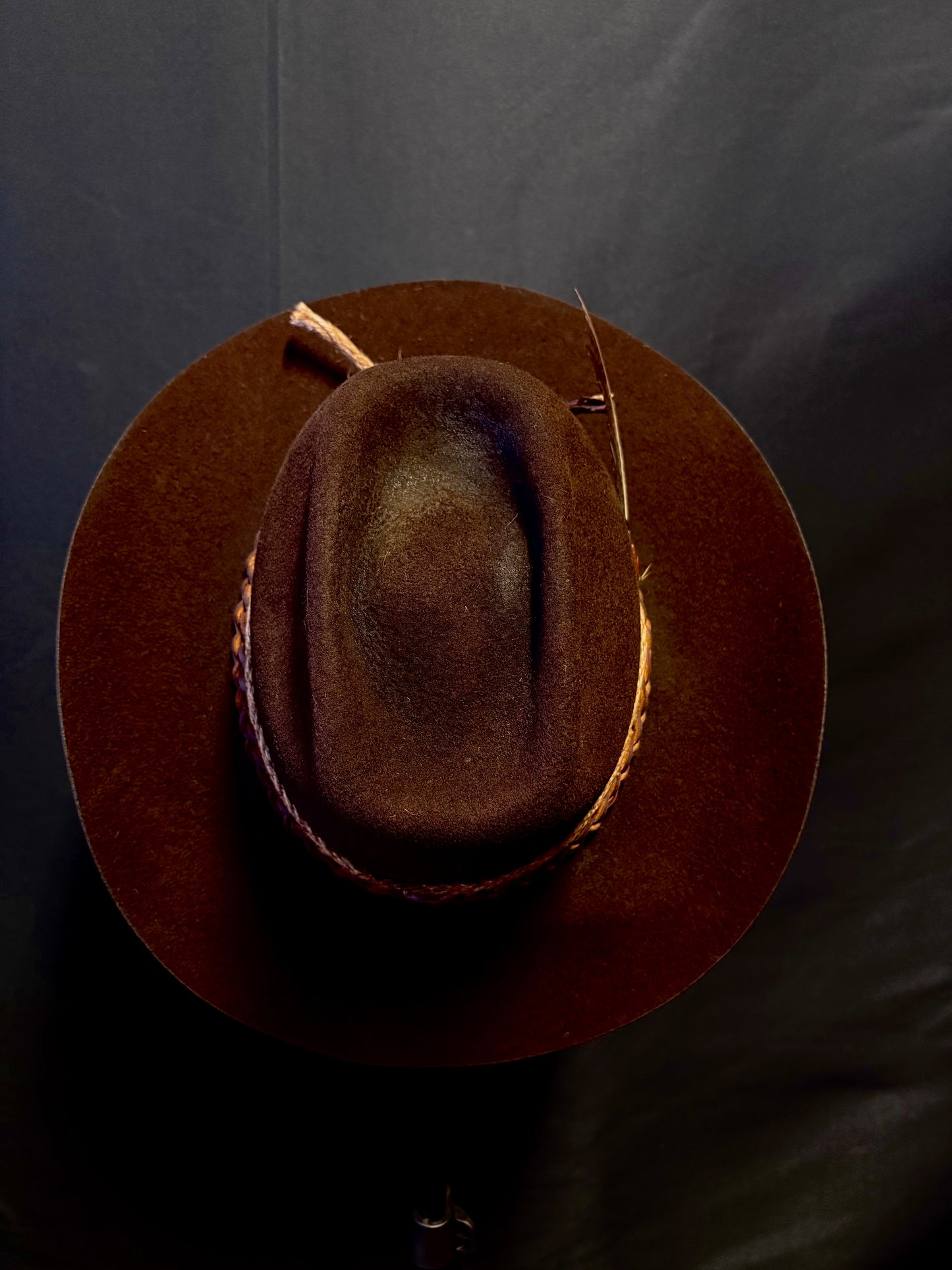 Born Wild #2 Pre-Order