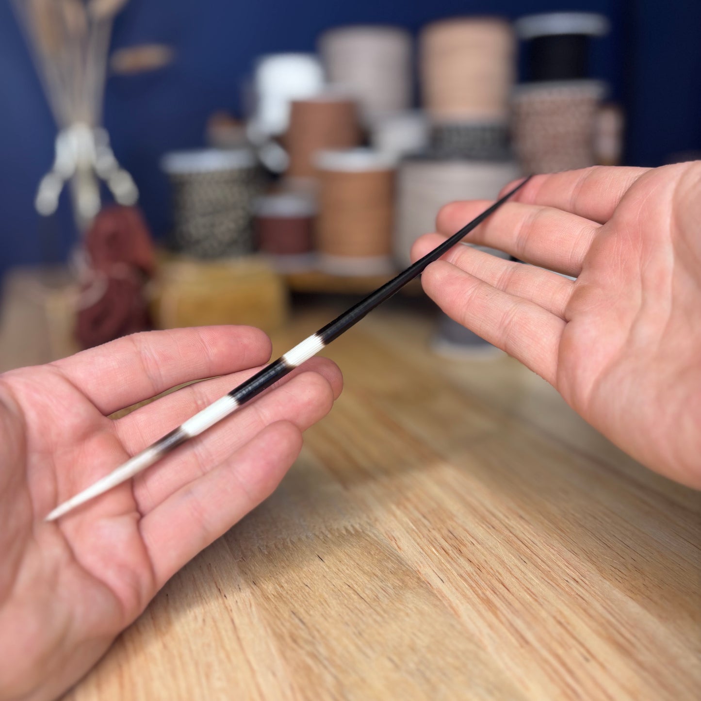 Porcupine quill