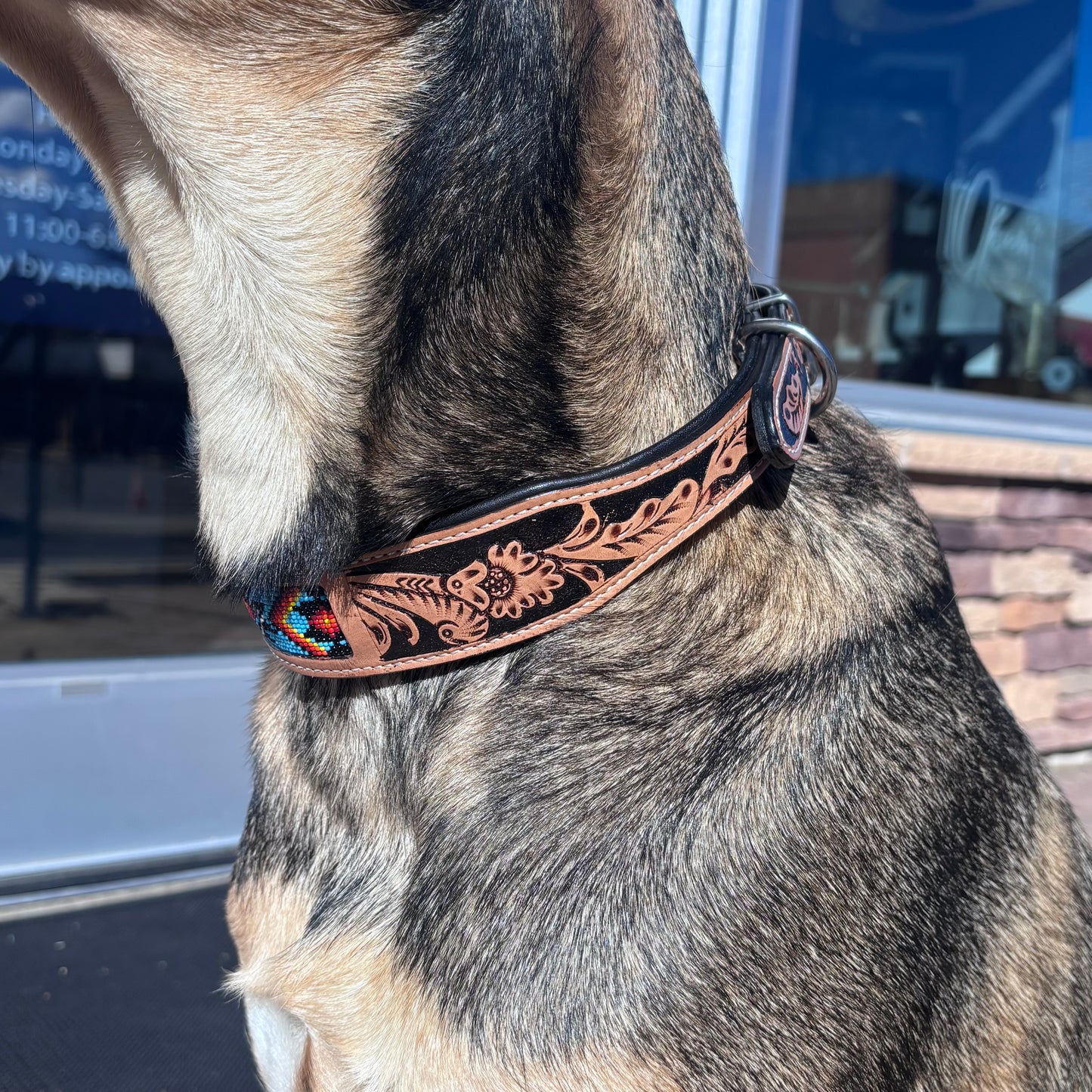 Native Dog Collar - Warm Colors